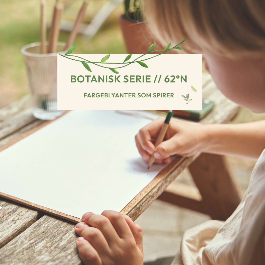 Plantbare Fargeblyanter - 8-Pakk