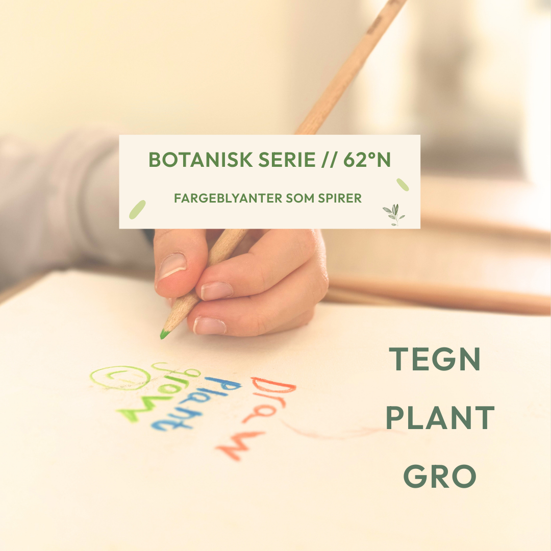 Plantbare Fargeblyanter - 8-Pakk