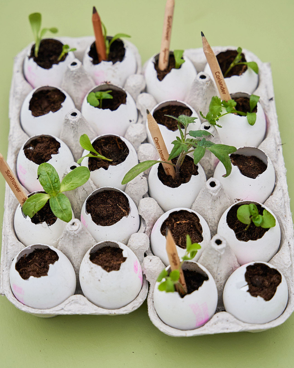 Plantbar Grafittblyant - Botanisk Serie