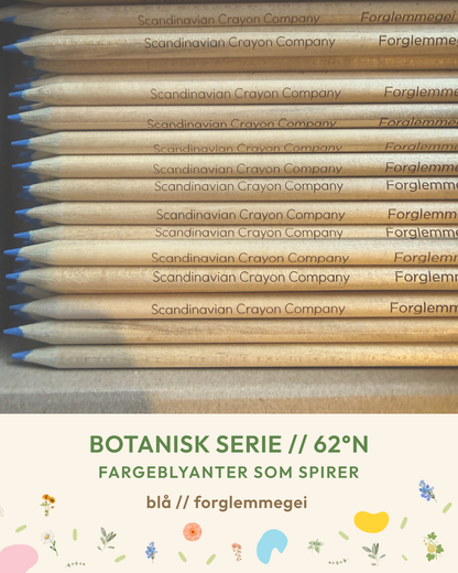 Plantbare Fargeblyanter - Botanisk Serie
