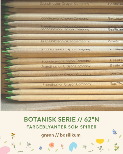 Plantbare Fargeblyanter - Botanisk Serie