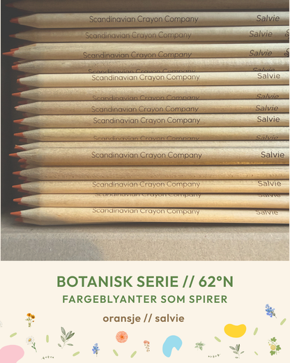 Plantbare Fargeblyanter - Botanisk Serie